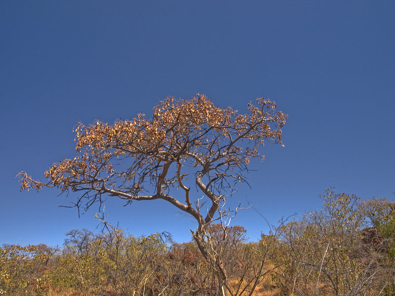 Waterberg